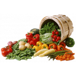 6 главных продуктов осени для повышения иммунитета 6 главных продуктов осени для повышения иммунитета